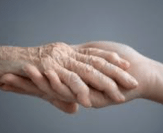 Screen Shot 2018-11-22 at 10.17.38 AM